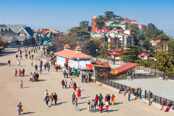 Shimla